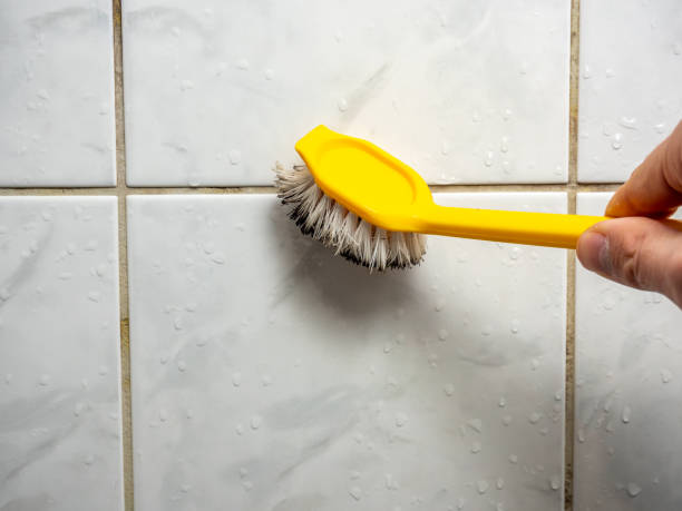 Mold Testing and Removal in Haynesville, LA