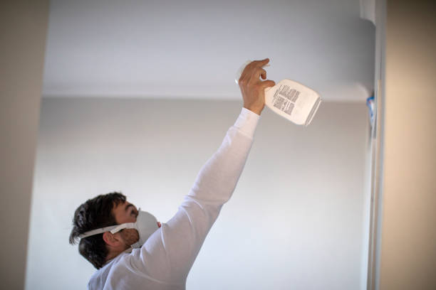 Best Mold Testing  in Haynesville, LA