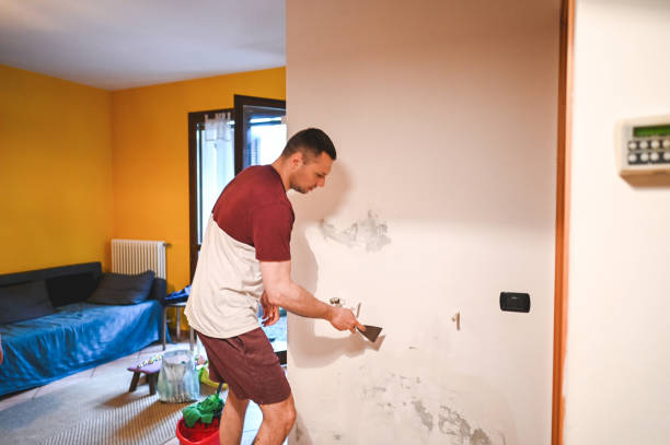 Best Fast Mold Removal  in Haynesville, LA