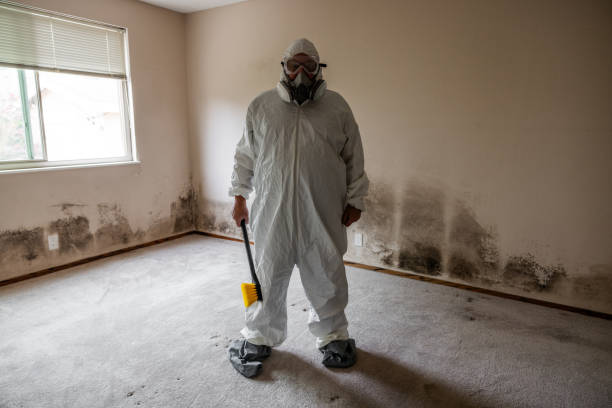 Best Professional Mold Removal  in Haynesville, LA