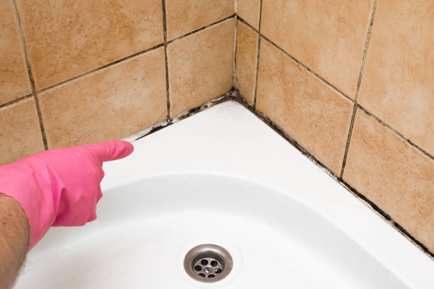 Best Mold Testing  in Haynesville, LA
